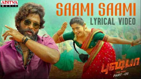 Saami Saami Lyrics in Hindi