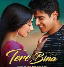 Tere Bina Punjabi Song Lyrics